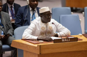 Mali_ONU.jpg