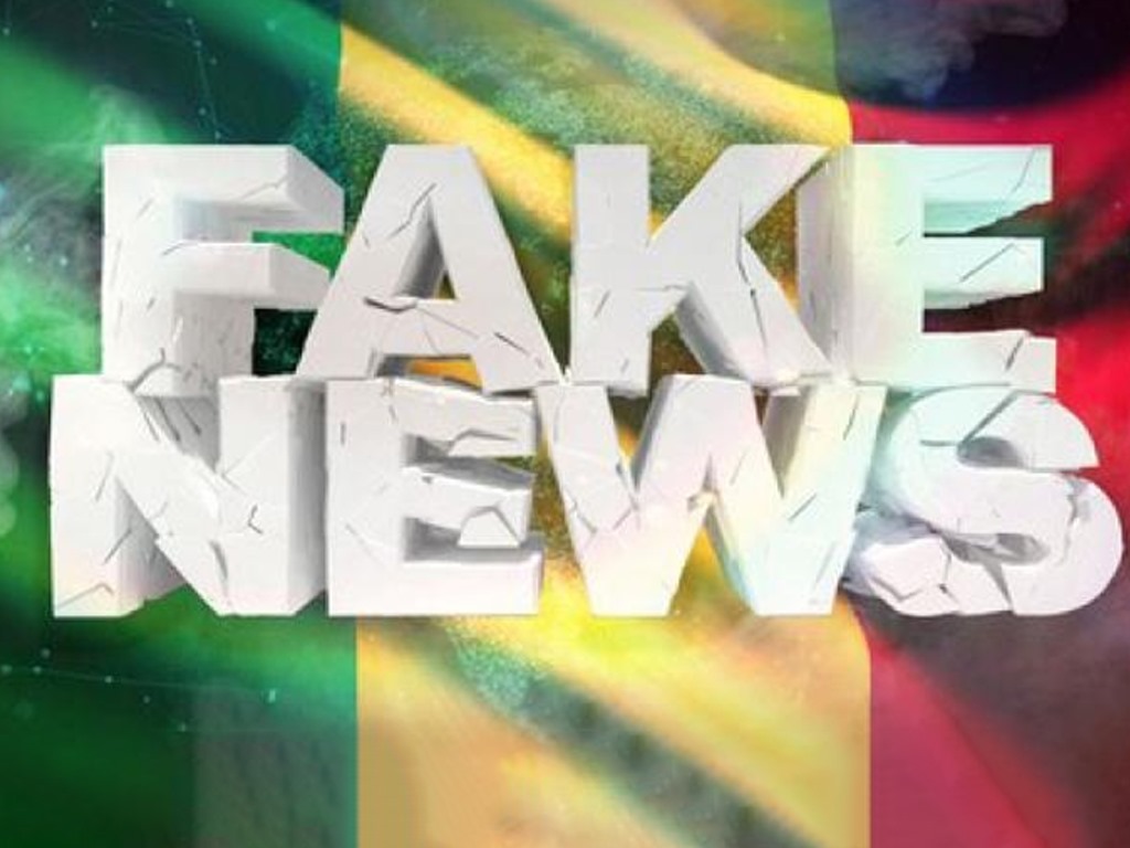 Fake-news-Mali.jpg